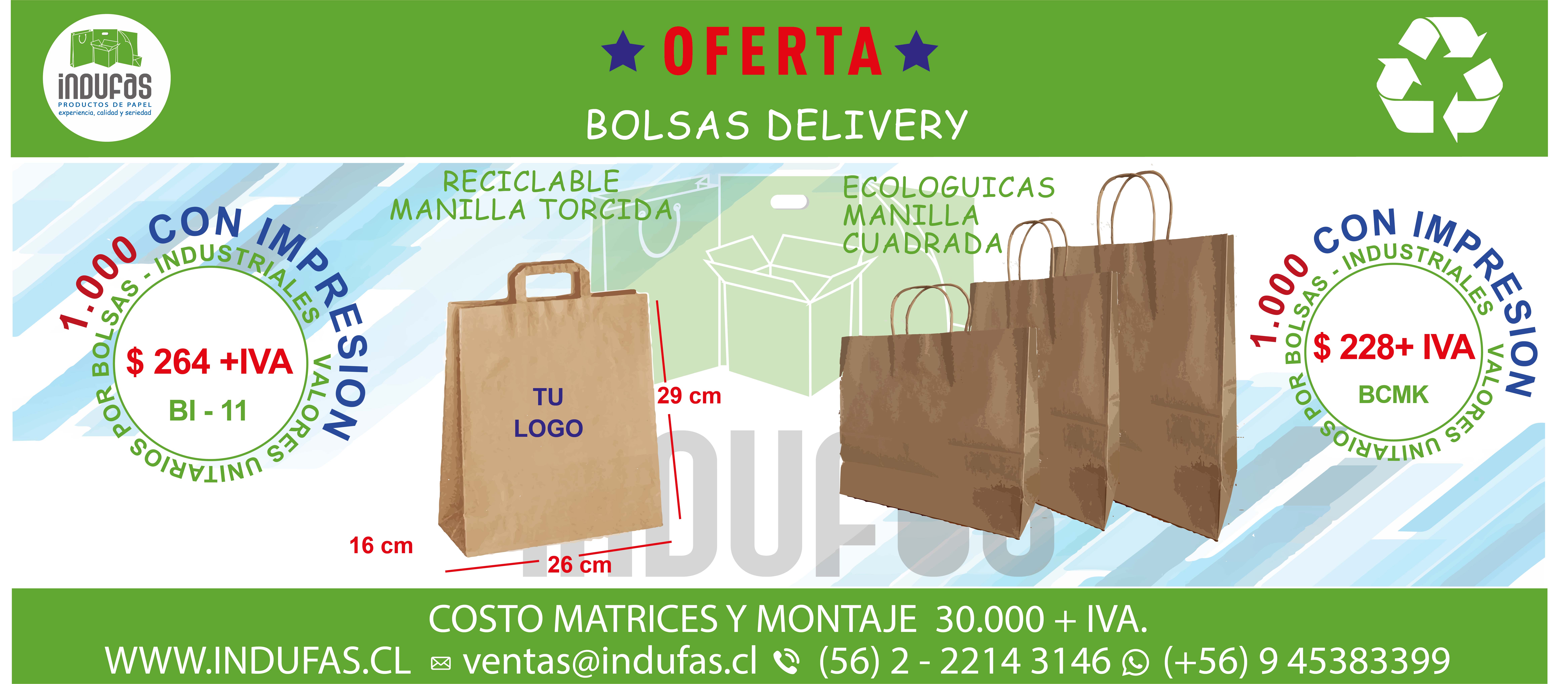 FYER BOLSAS DELIDERY DICIEMBRE 2022