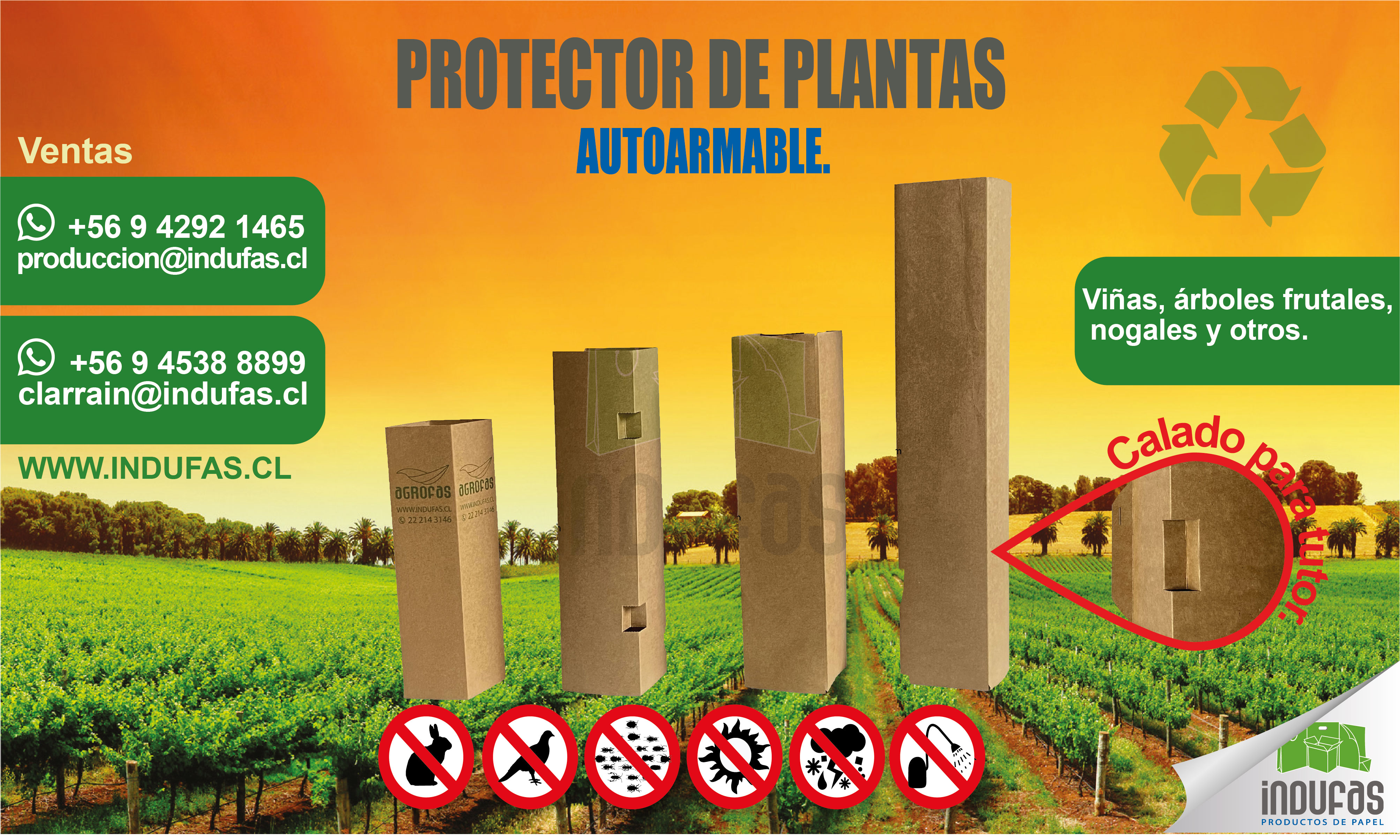 PROTECTOR PLANTAS _Mesa de trabajo 1